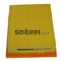 COOPERSFIAAM FILTERS PA7142 Luchtfilter