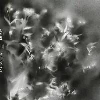 Konkurrent Jacaszek - Kwiaty (LP)
