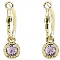 Biba Oorhangers Goud met gekleurde steen Groot Lt. Amethyst