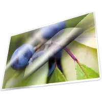 Kangaro lamineerhoes - A3 - 80 micron - glanzend - 100 stuks
