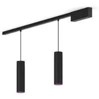 Philips Perifo Basisset Voor Recht Plafond (2 Hanglampen)