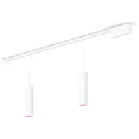 Philips Hue Perifo Basisset Voor Recht Plafond (2 Hanglampen)