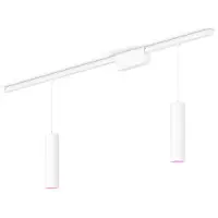 Philips Hue Perifo Basisset Voor Recht Plafond (2 Hanglampen)