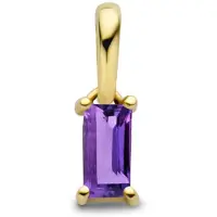 The Jewelry Collection 14K geelgoud hanger met geboortesteen 4027208