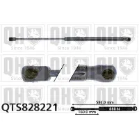 Quinton Hazell QTS828221 Gasveer achterklep