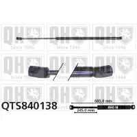 Quinton Hazell QTS840138 Gasveer achterklep