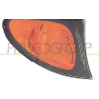 PRASCO BM0204003 Knipperlichtautomaat / Pinkdoos