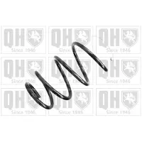 Quinton Hazell QCS7964 Chassisveer