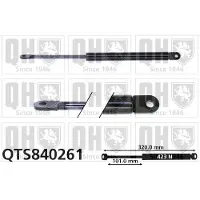 Quinton Hazell QTS840261 Gasveer motorkap