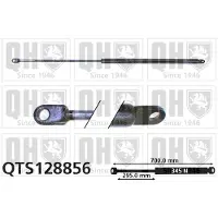 Quinton Hazell QTS128856 Gasveer achterklep