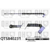Quinton Hazell QTS840231 Gasveer achterklep
