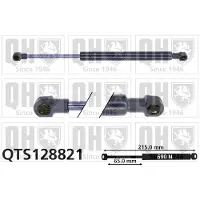 Quinton Hazell QTS128821 Gasveer achterklep