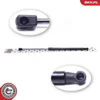 ESEN SKV 52SKV774 Gasveer achterklep