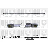Quinton Hazell QTS828028 Gasveer achterklep