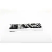 BSG 70-145-020 Interieurfilter