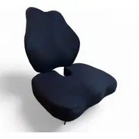 Inphysio Set zitkussen en lendenkussen 1 St