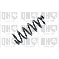 Quinton Hazell QCS5564 Chassisveer