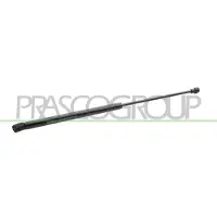 PRASCO VG0219055 Gasveer achterklep