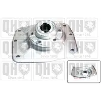 Quinton Hazell EMR6157 Veerpootlager