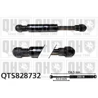 Quinton Hazell QTS828732 Gasveer achterklep