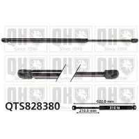 Quinton Hazell QTS828380 Gasveer motorkap