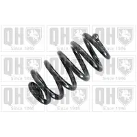 Quinton Hazell QCS6719 Chassisveer