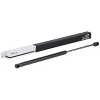 RIDEX 219G0298 Gasveer achterklep