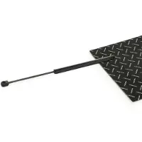 RIDEX 219G1224 Gasveer achterklep