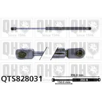 Quinton Hazell QTS828031 Gasveer achterklep