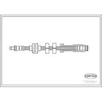CORTECO 19018561 Remslang