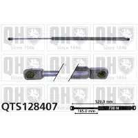 Quinton Hazell QTS128407 Gasveer achterklep