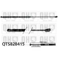 Quinton Hazell QTS828415 Gasveer motorkap