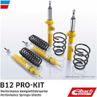 EIBACH E90-25-019-02-22 Schokdemper met veer