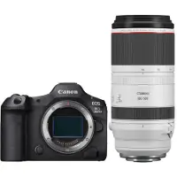 Canon EOS R5 mark II + RF 100-500mm F/4.5-7.1L IS USM