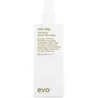 Evo Haarverzorging Styling Salt Spray 200 ml