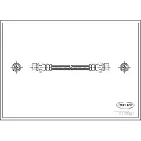 CORTECO 19018921 Remslang