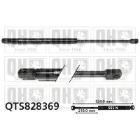 Quinton Hazell QTS828369 Gasveer achterklep