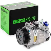 RIDEX 447K0029R Aircopomp