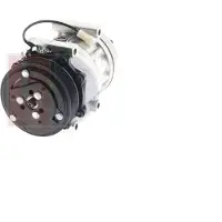 AKS DASIS 850268N Aircopomp