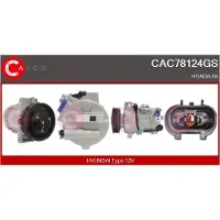 Casco CAC78124GS Aircopomp