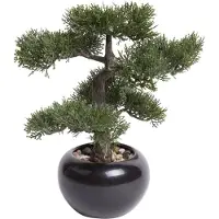 Driesprong Collection Zijdeplant Mini Bonsai kunstplant