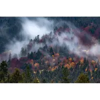 Karo-art Fotobehang Herfstbos In Een Prachtige Mist - Vliesbehang - 400 x 280 cm