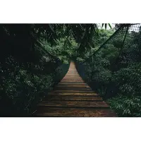Karo-art 520cm X 318cm - Fotobehang - Hangbrug in het oerwoud, premium print, inclusief behanglijm