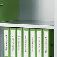 Schäfer Shop Tussenlegbord, voor schuifdeurkast, lichtgrijs RAL 7035, 1200 x 325 mm, 2 stuks