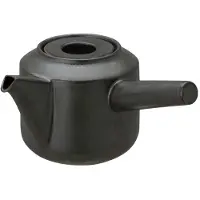 Kinto LT Kyusu theepot zwart 300 ml