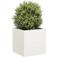 vidaXL Plantenbak 40x40x40 cm koudgewalst staal wit