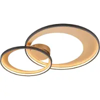 TRIO Mat Zwarte Plafondlamp Granada 85cm Zwart Met Goud