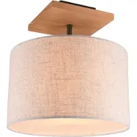 TRIO Plafondlamp Elmau