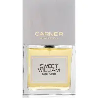 Custo barcelona Sweet William Eau de Parfum 100 ml