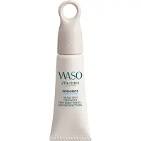 Shiseido Gezichtsverzorgingslijnen WASOTinted Spot Treatment Natural Honey